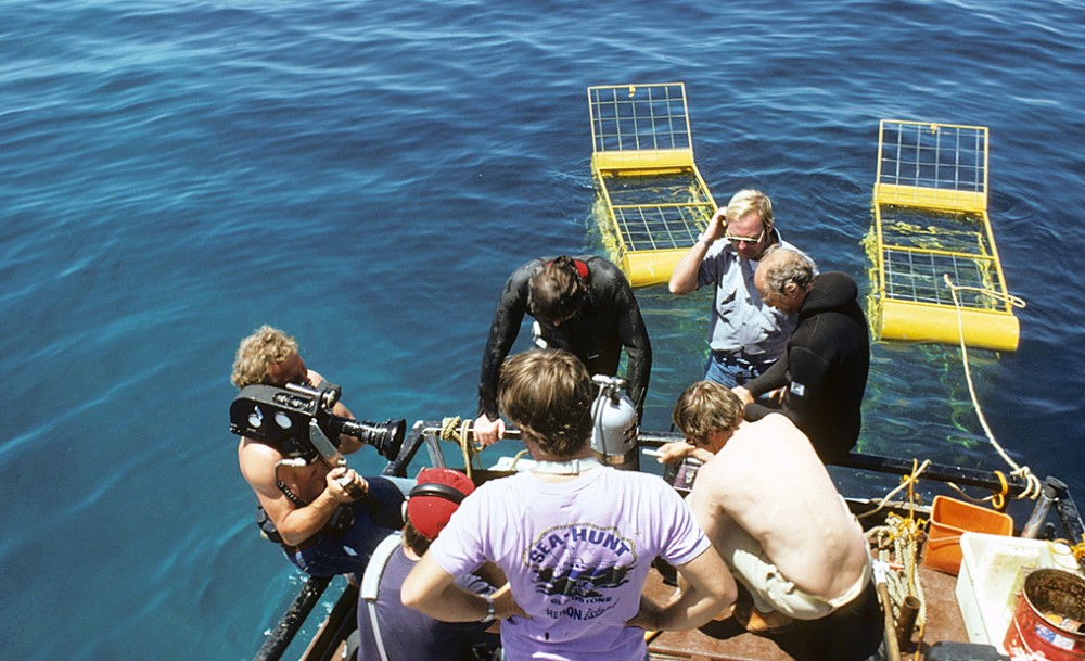 Peter and the ABC Sportsman team preparing for a dive in the shark cages